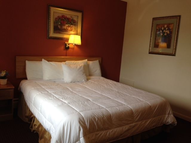 Rodeway Inn Manchester Rum bild